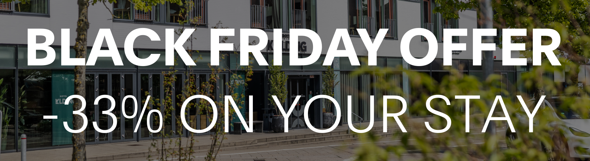 Black Friday Offer - save 33%